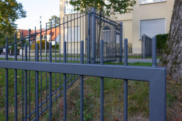 Ornamental iron gate and fence 